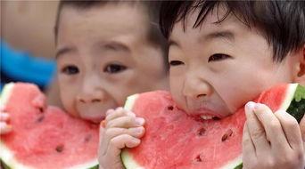 吃瓜公司的日常,揭秘日常生活中的趣味八卦  第3张